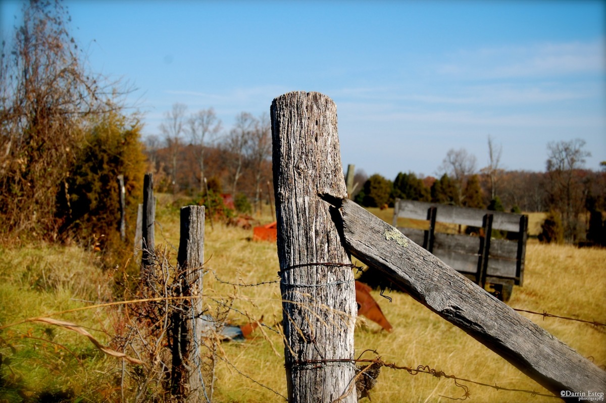 dsc_1197.jpg