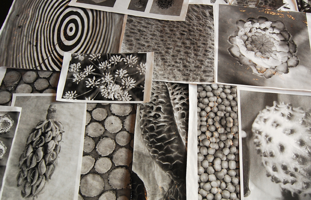 A selection of imagery ready for a good soak