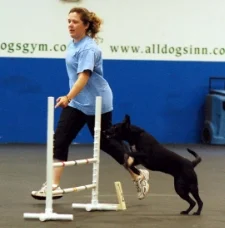 Agility Handling.jpg
