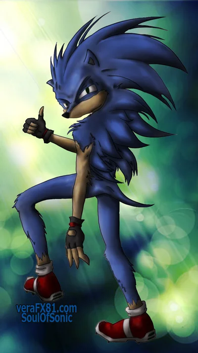 SonicBack4Web400px.jpg