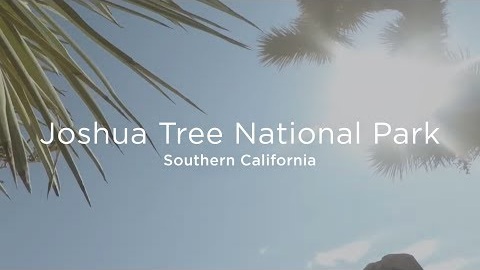 Joshua Tree National Park | Wild in the City