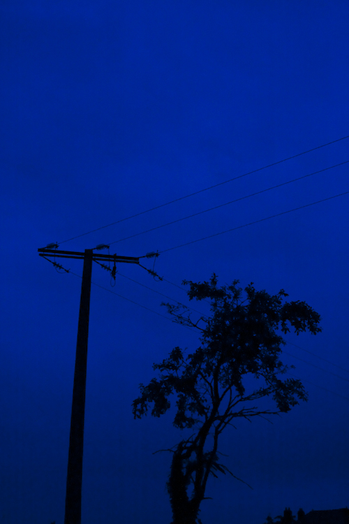 Champagne in Blue 2