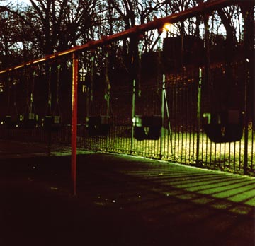 In-the-shadows.jpg