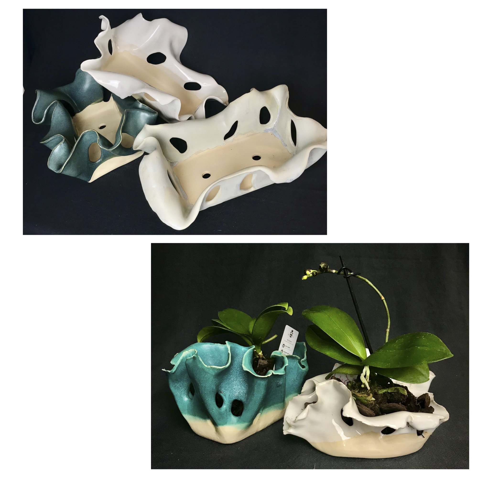 Orchid Vessels