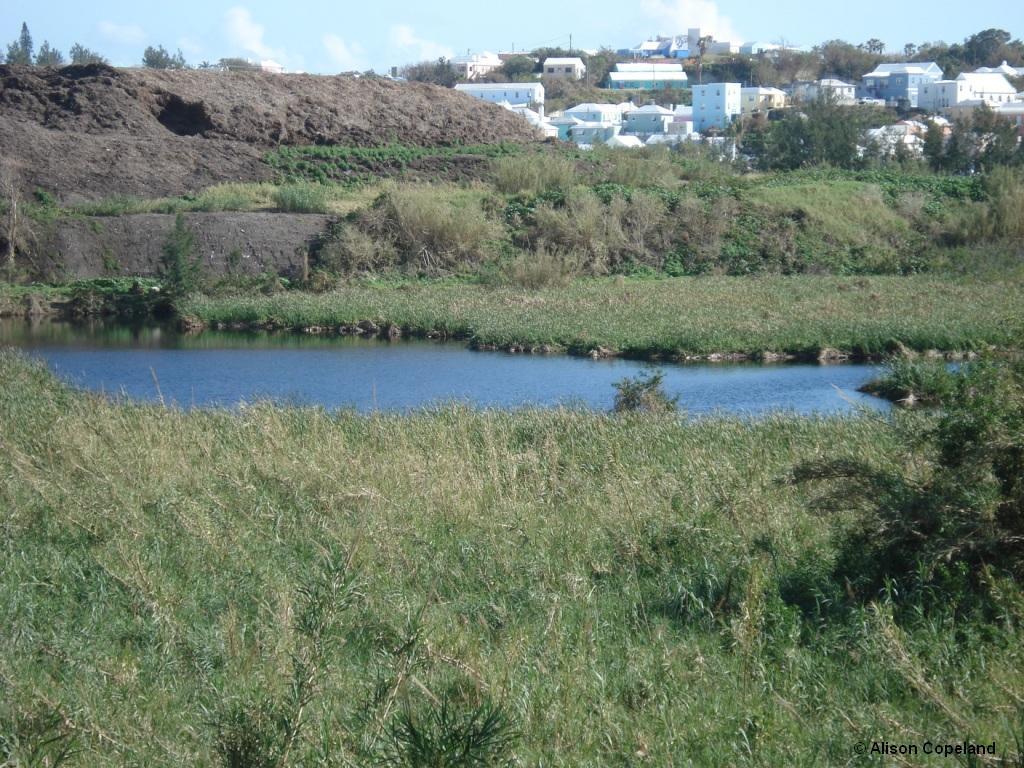 Pembroke Marsh Pond