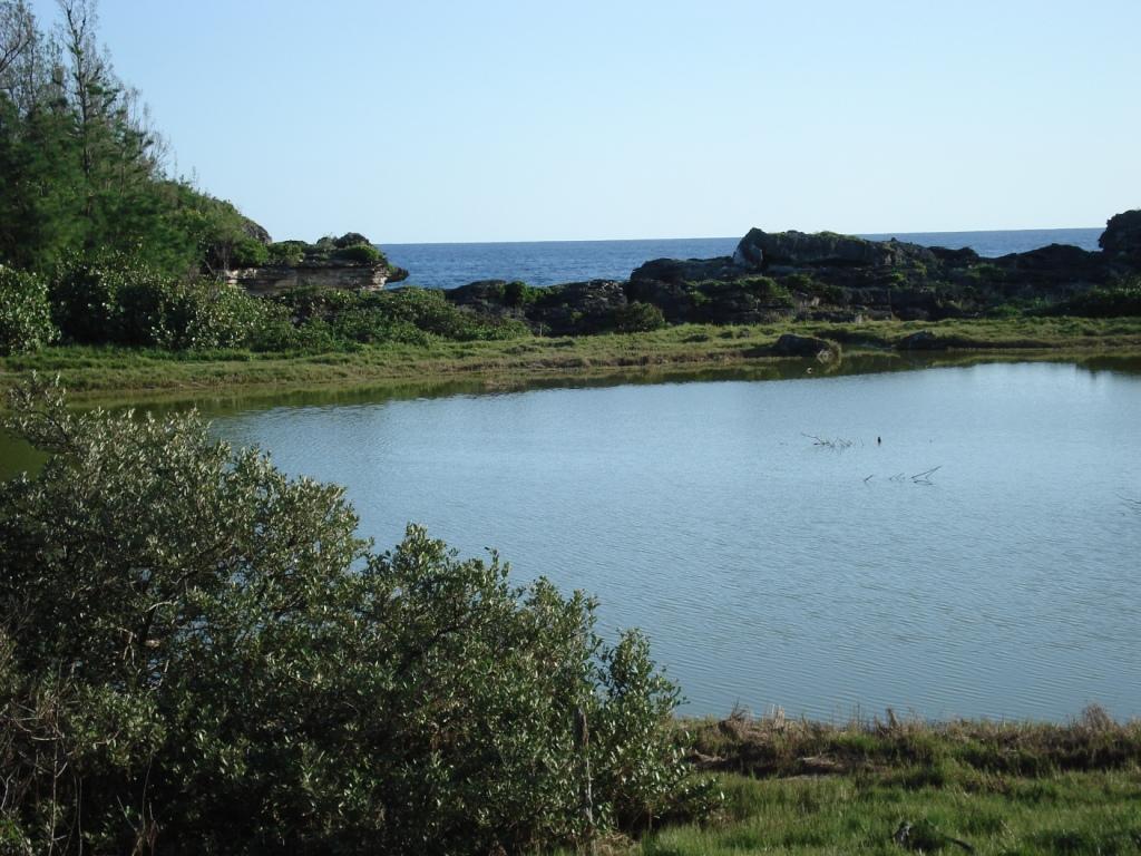 Spittal Pond