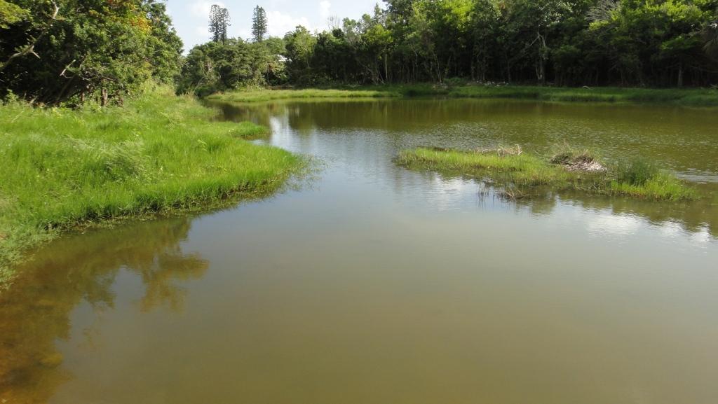 Seymour's Pond