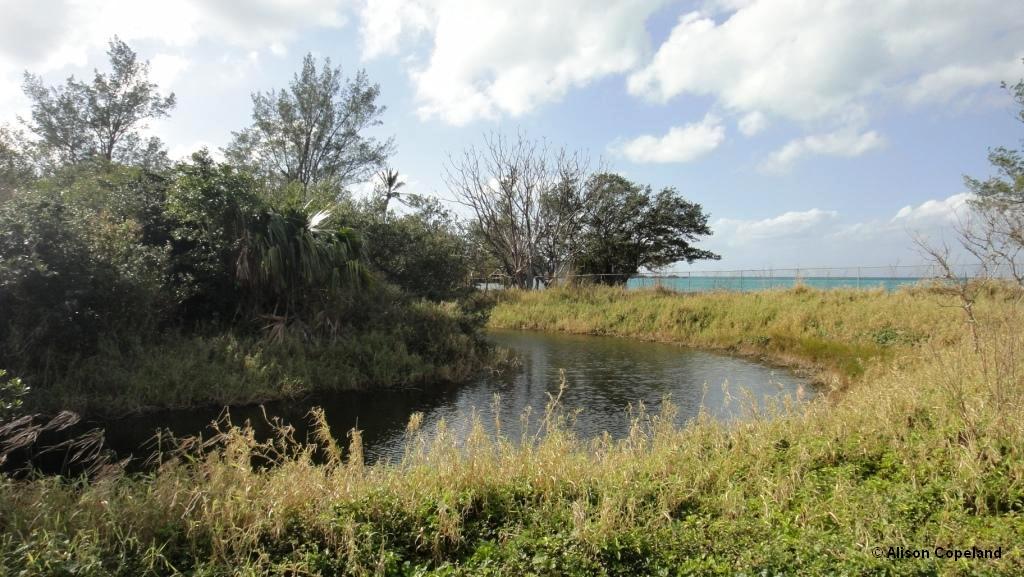 Somerset Long Bay Pond