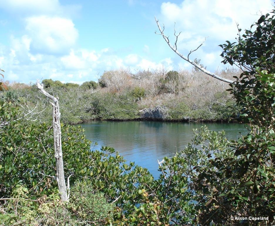 Walsingham Pond