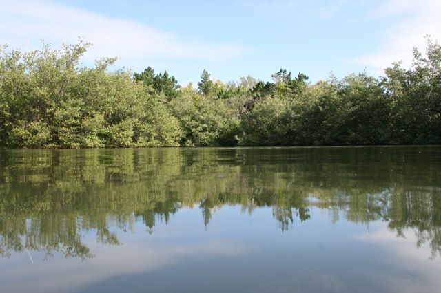 Bartram's Pond at Stokes Point