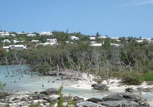 Hungry Bay, Paget 