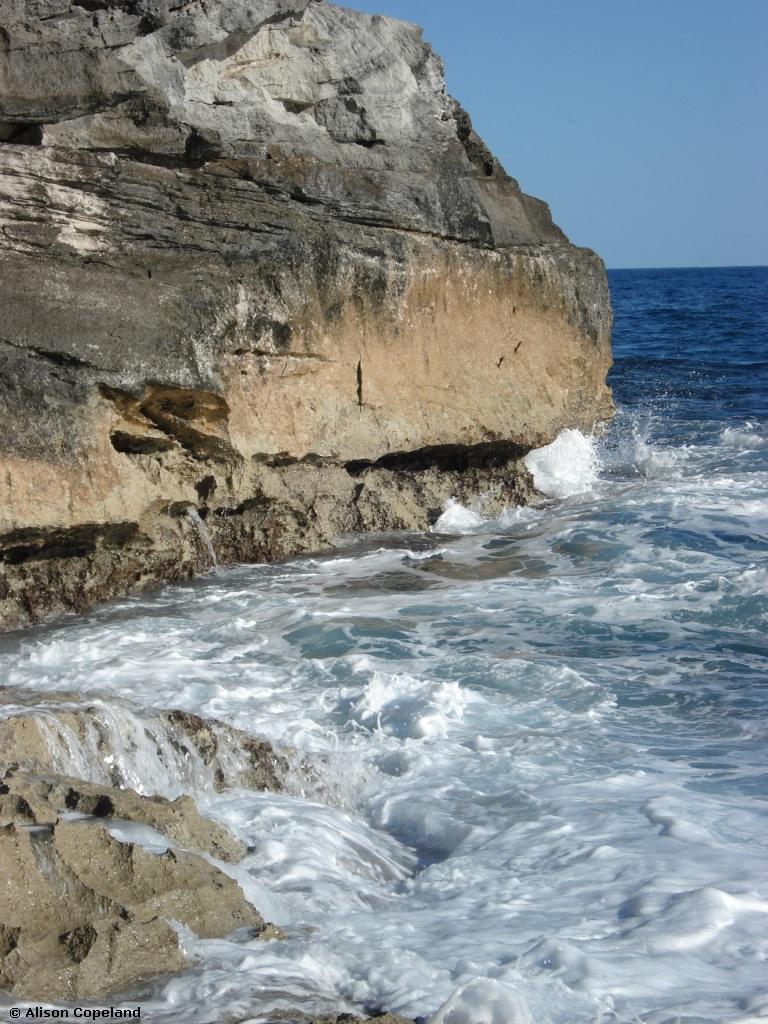 Rocky Shore, Checkerboard, Spittal Pond