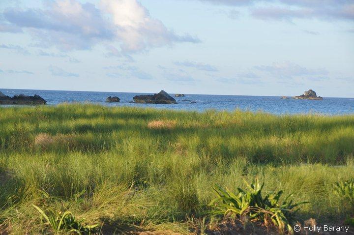 Early morning saltmarsh