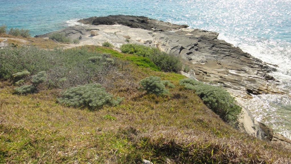 coastal habitats