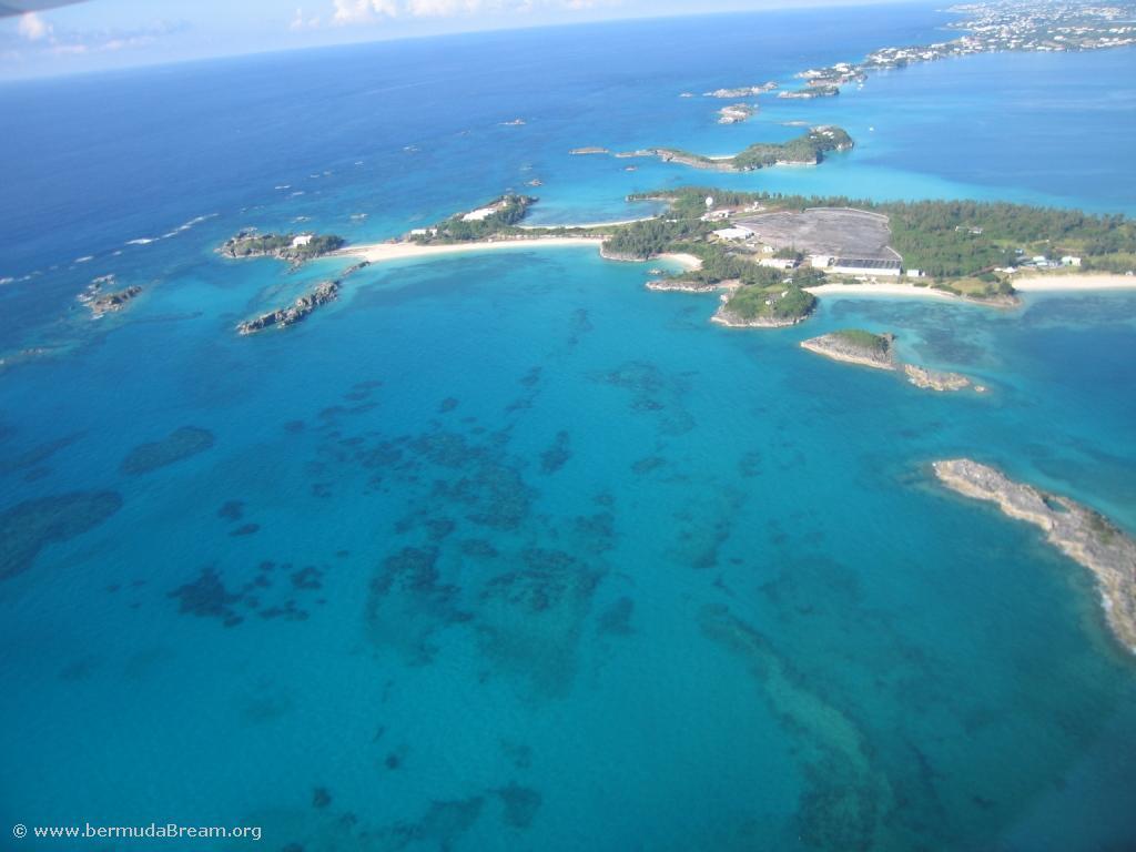 Cooper's Island from the air