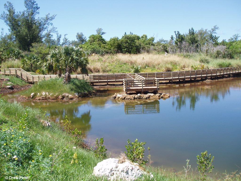 Cooper's Island pond