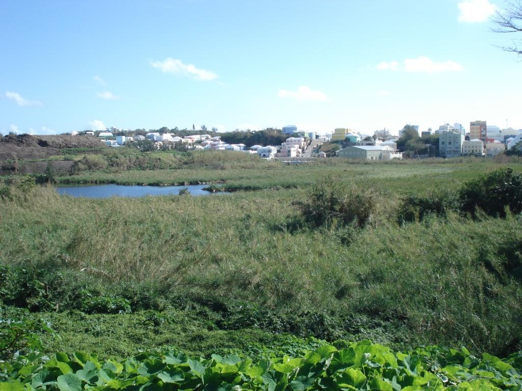 Pembroke Marsh