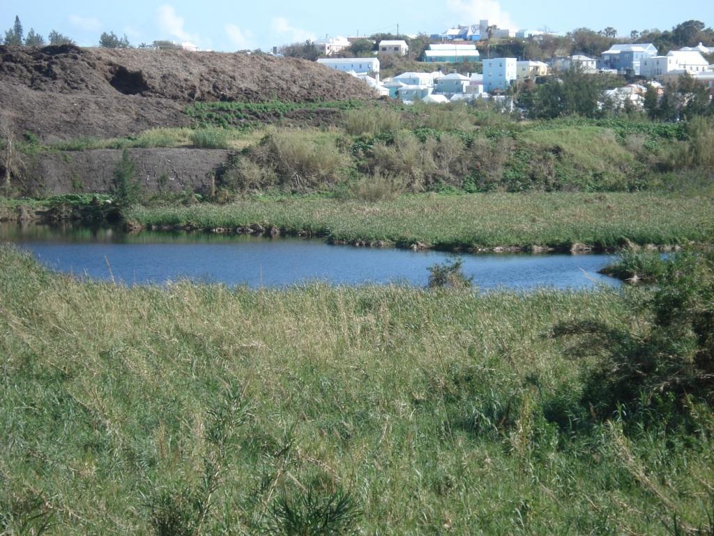 Pembroke Marsh Pond
