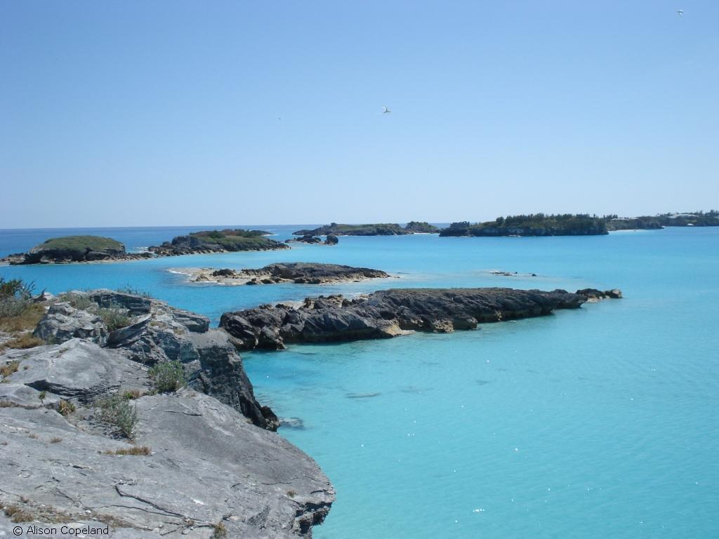 Castle Harbour Islands Nature Neserve
