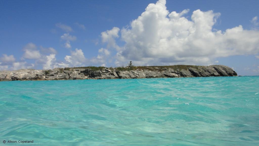 Rushy Island