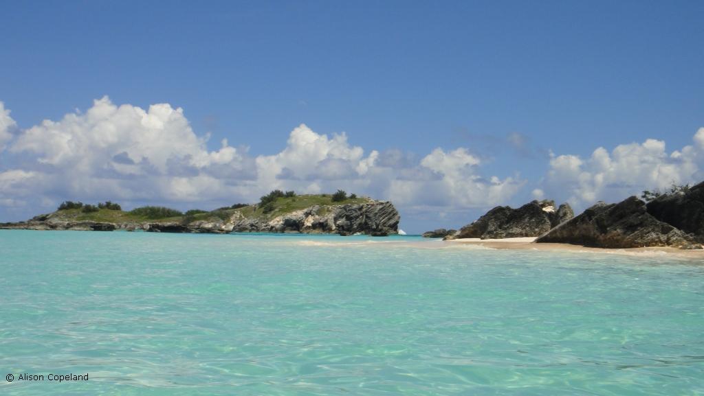 Charles Island and beach