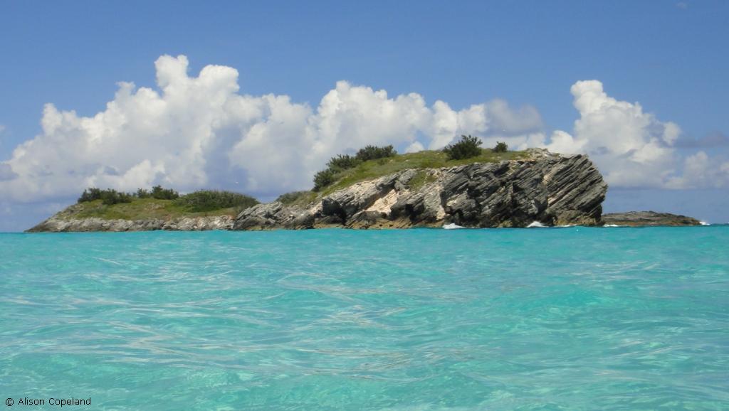 Charles Island