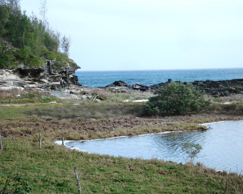 Spittal Pond Salt Marsh and Sea