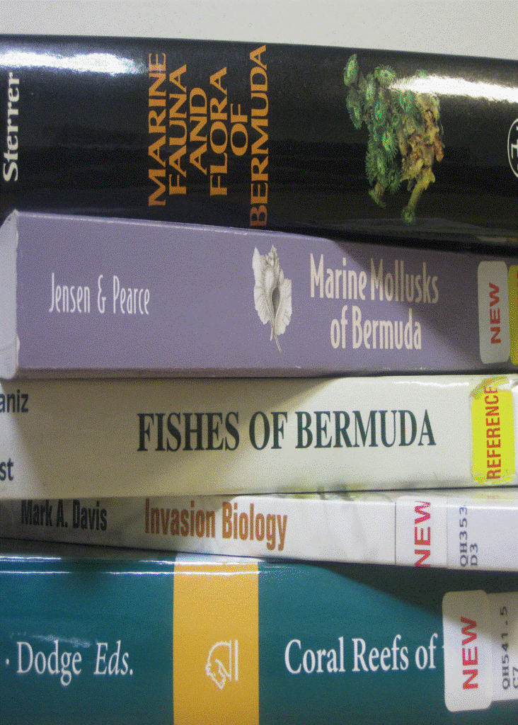 library books_c.gif