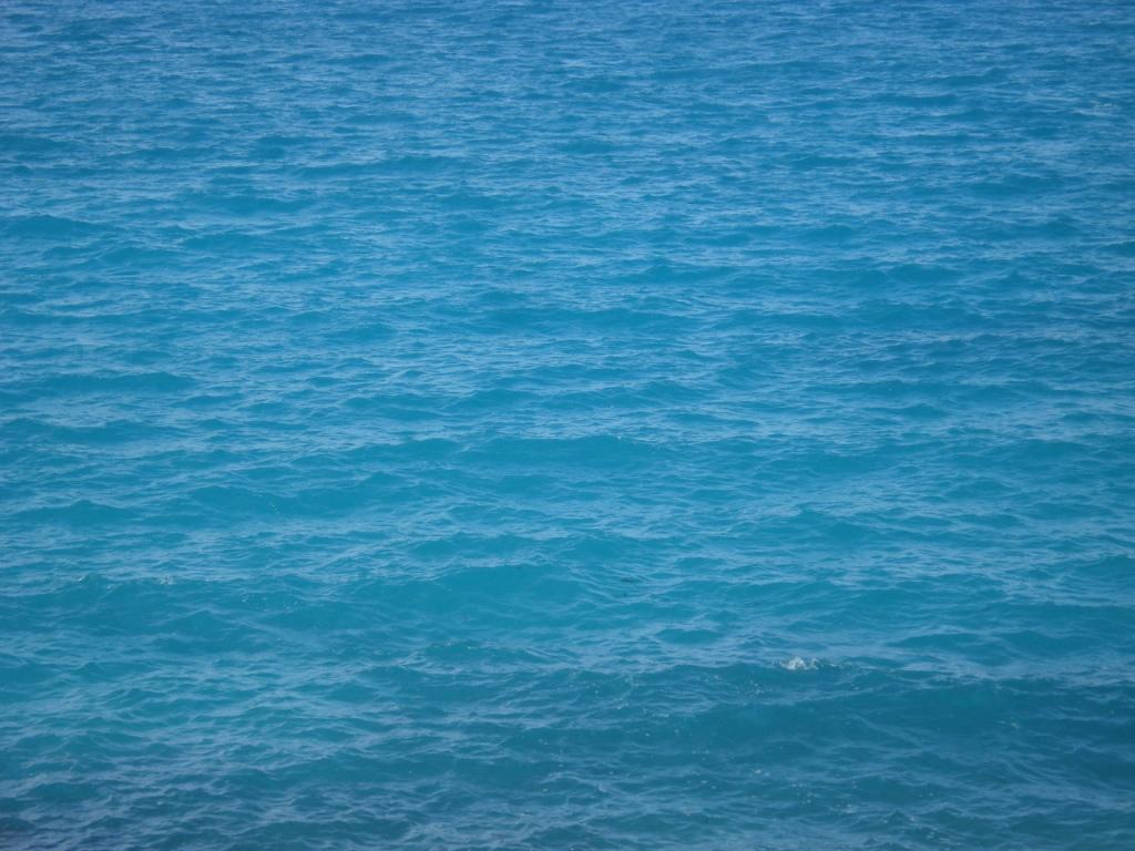 OPEN OCEAN