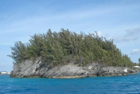 Nature Reserves — The Department of Environment and Natural Resources