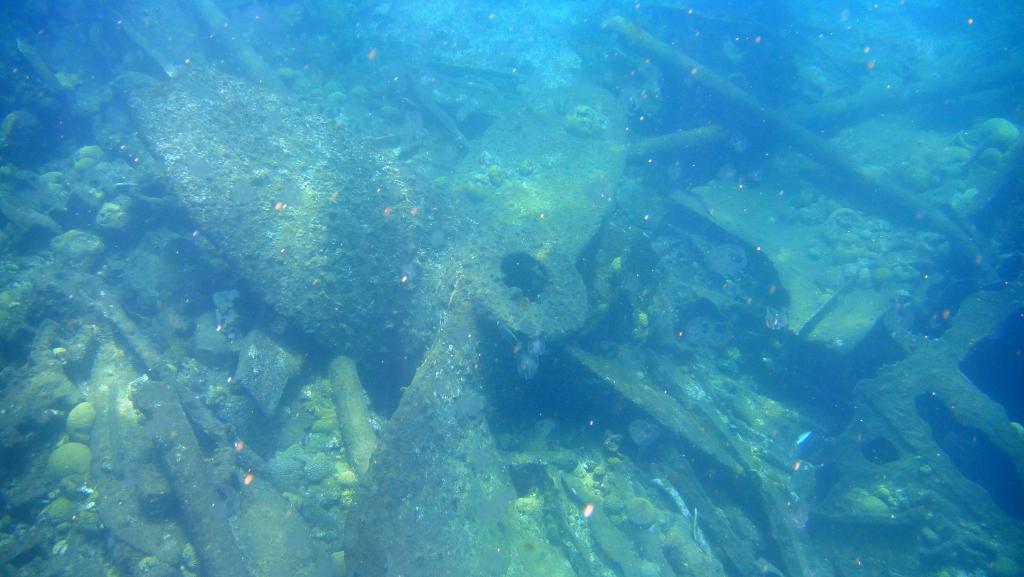 Propeller