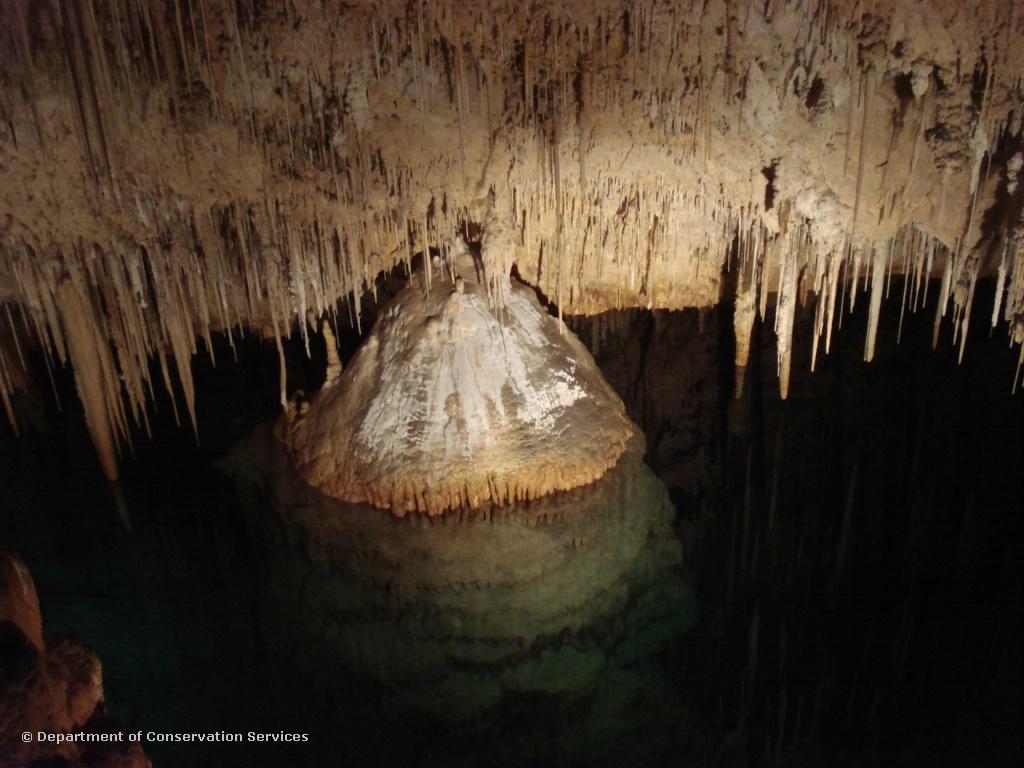 Drowned column, Leamington Cave