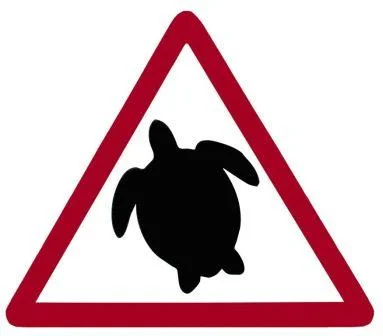 Warning to boaters regarding turtles. Learn how to help keep them safe while enjoying yourself on and around the water. 