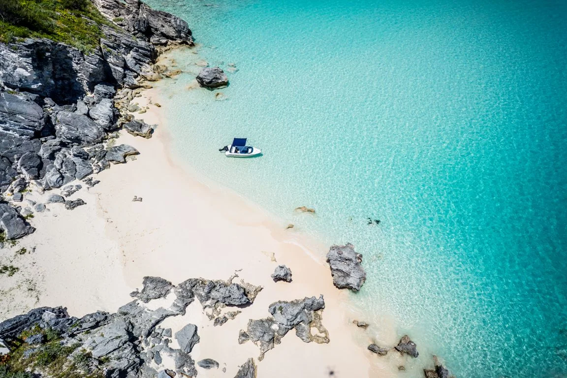 WELCOME TO OUR NEW WEBSITE!