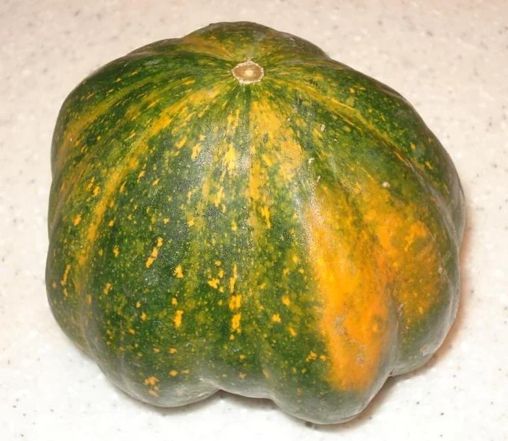 Acorn Squash