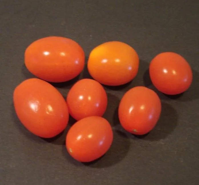 Grape Tomatoes