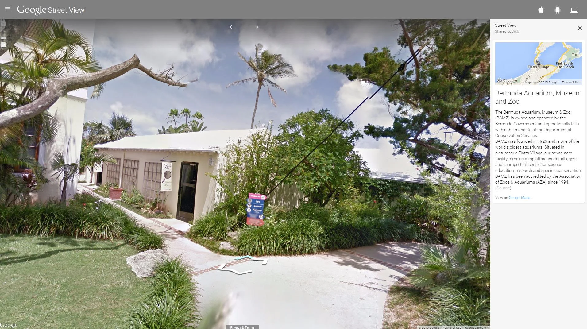 BAMZ Featured in Google StreetView Bermuda Highlights!