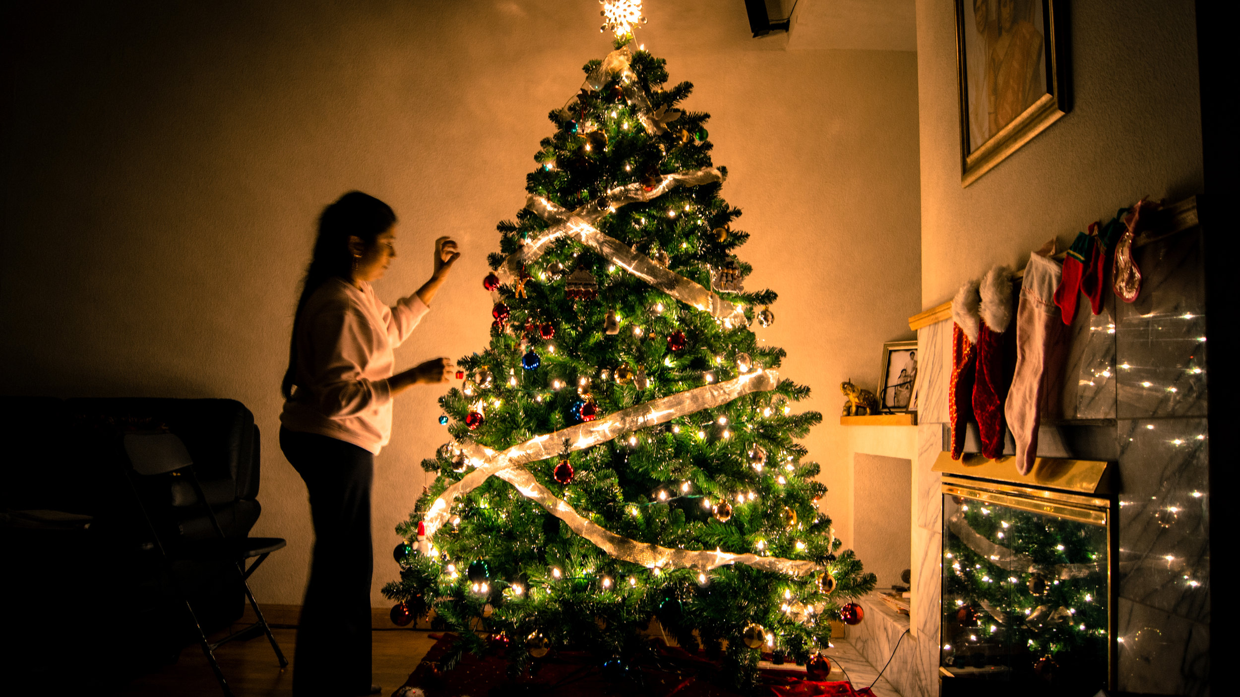 Import Christmas Trees