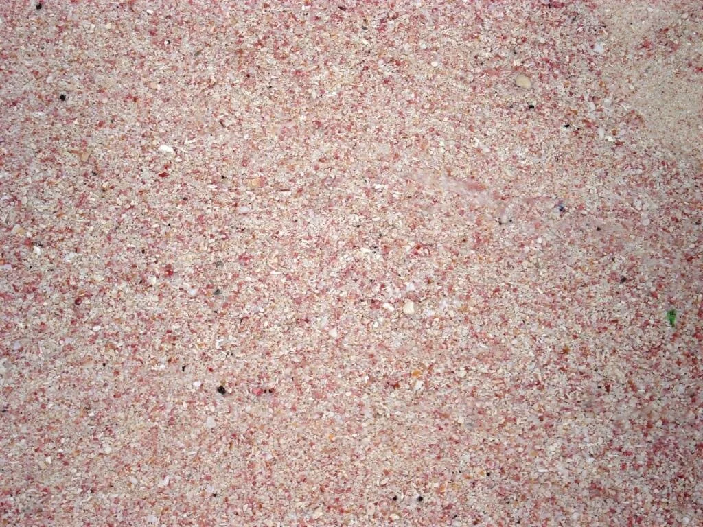 Envirotalk Winter 2019 available to download