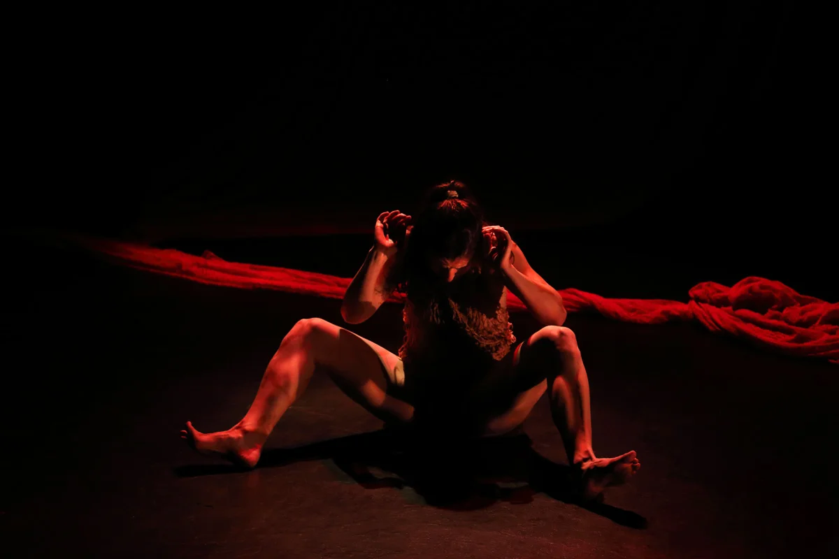 ANIKAYA DANCE THEATER