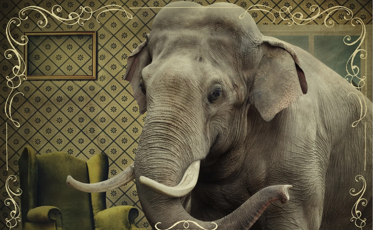 Elephant Room notext.jpg