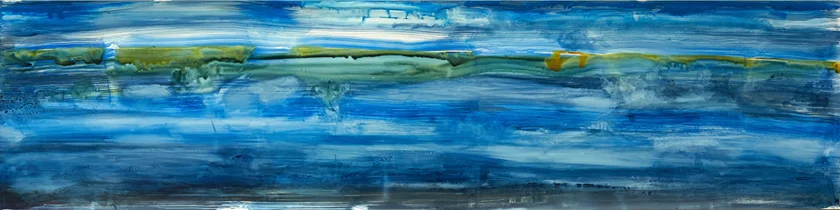 For S.E. Hope Spot , 2014 Ink on Yupo paper, 20" x 64"
