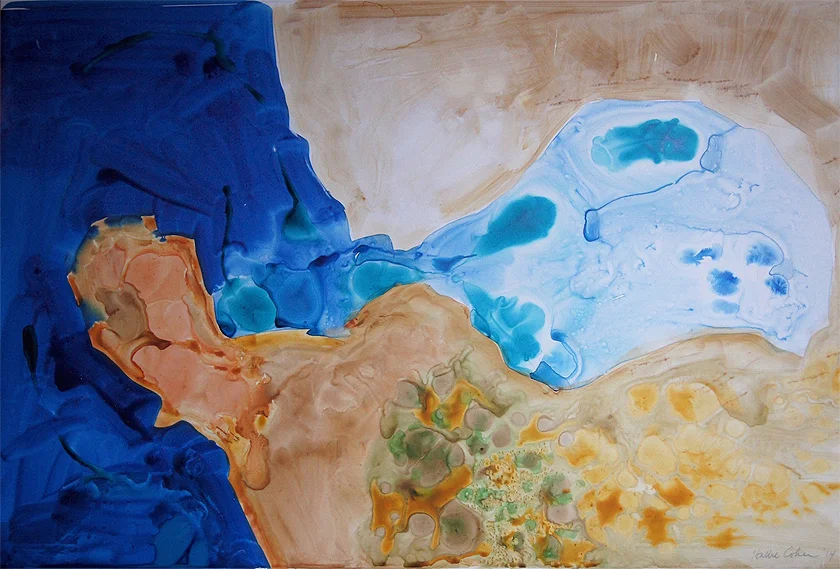 earthcam I, 2014 30" x 44"
