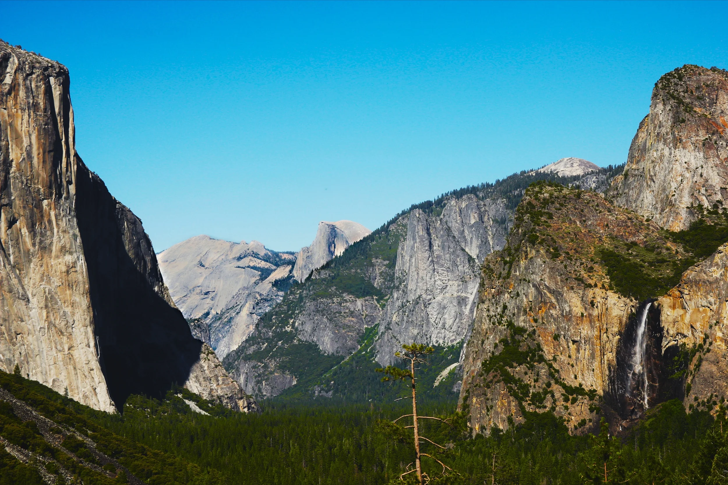 photo(5).JPG