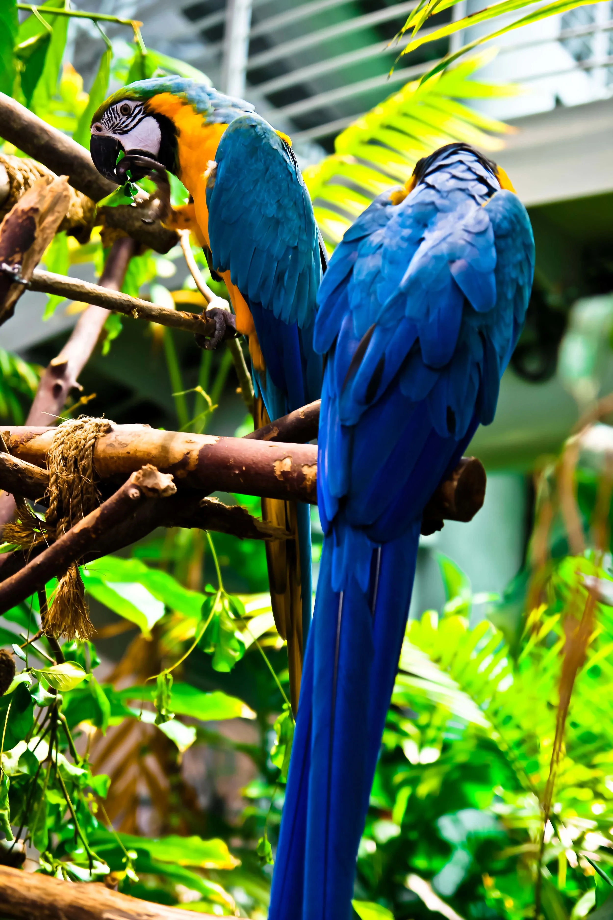 IMG_7281.jpg