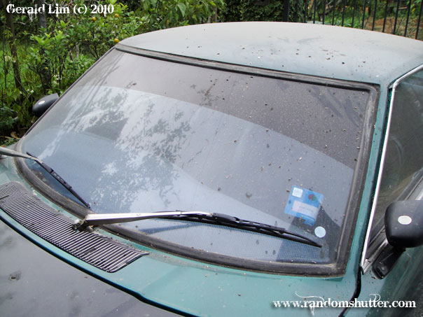 0223-012-dirty-celica-1.jpg