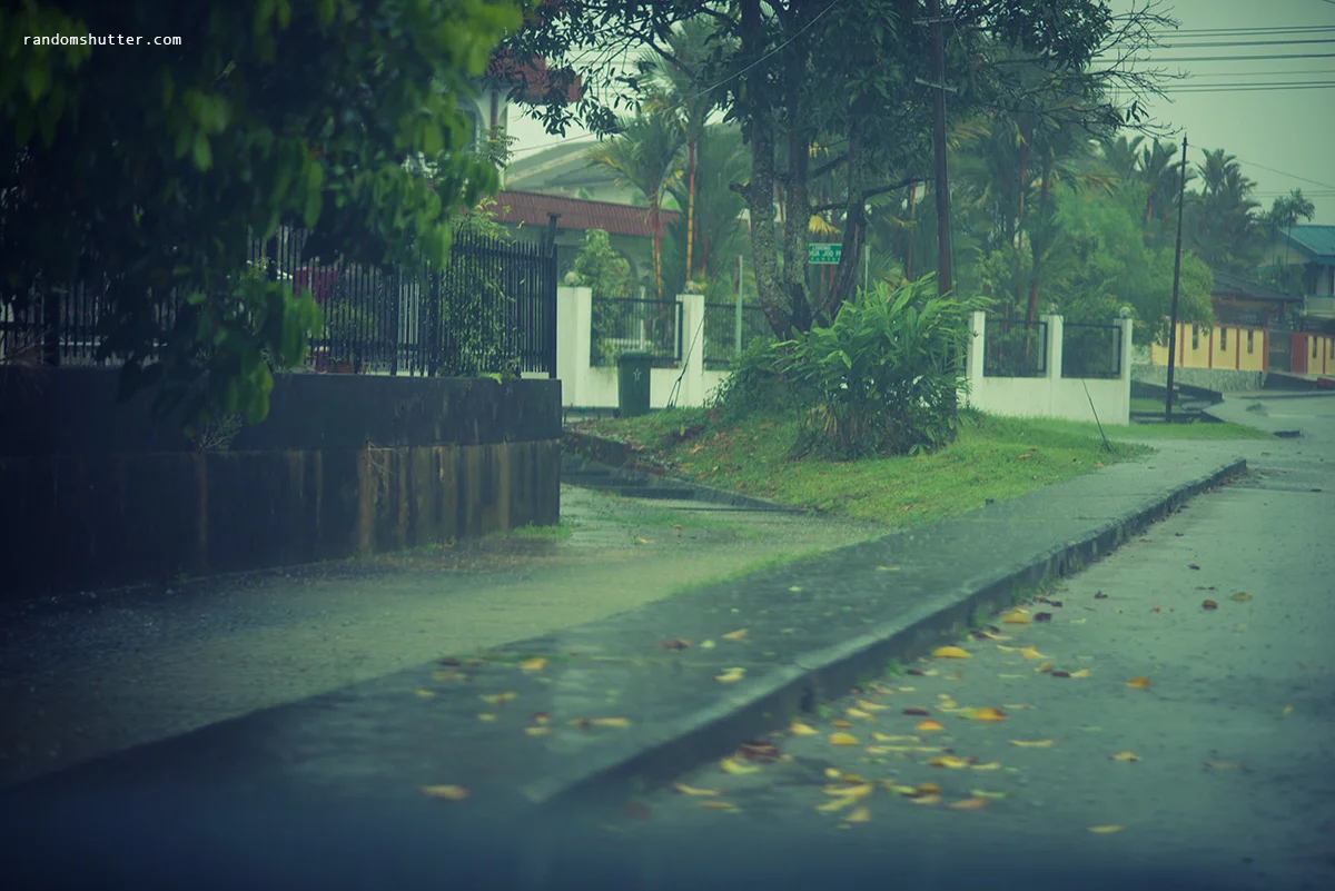 130331-Rain-003.jpg