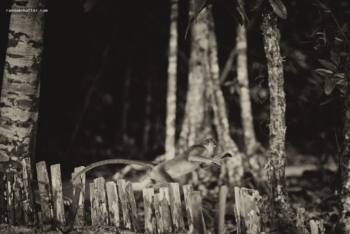 140216-bnw-0005.jpg