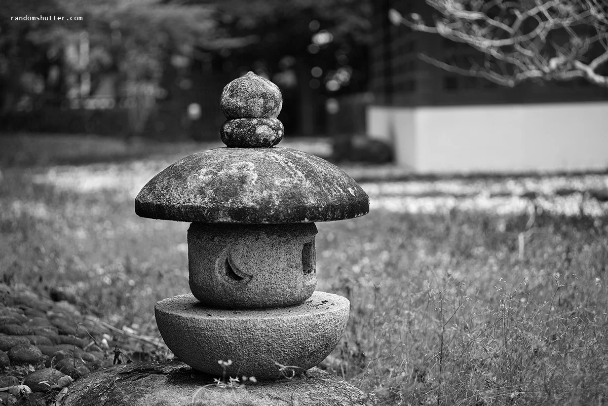 140216-bnw-0015.jpg