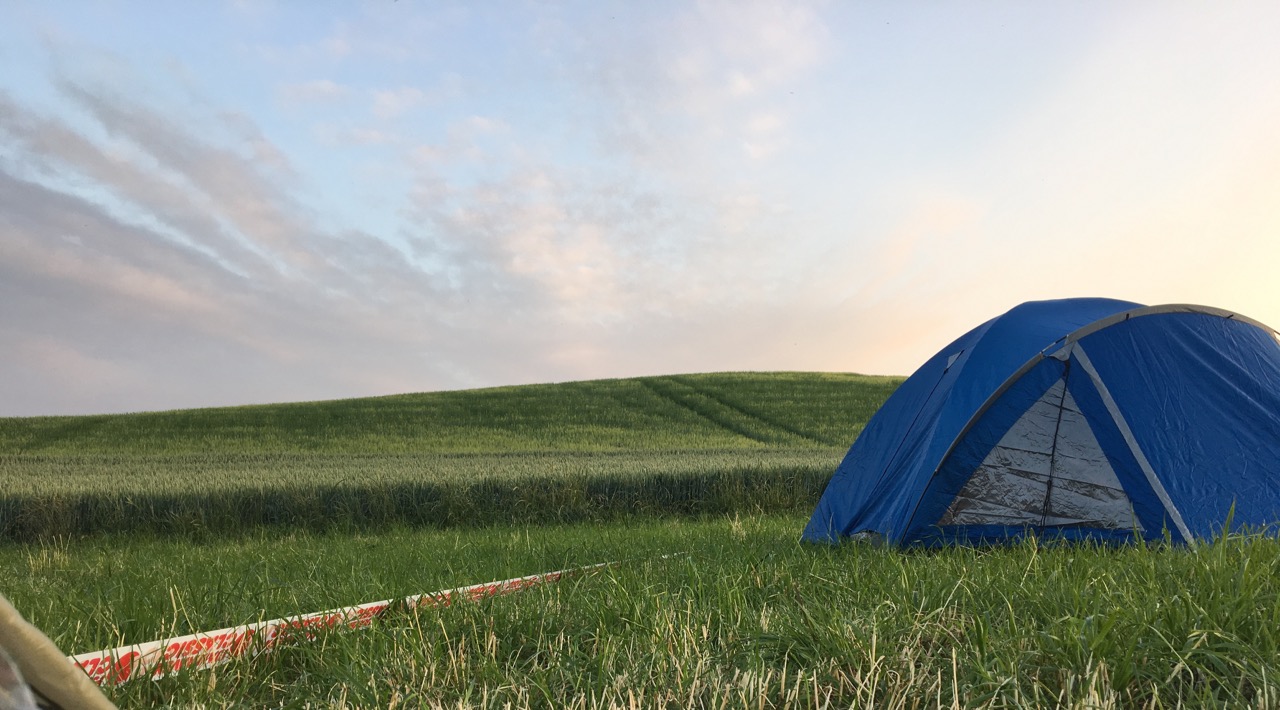 The view from my tent at Camp 1 (Holstenshuus) - What you can't see, to my left, is the husband and wife camping with their black lab, Besta. She visited me often.